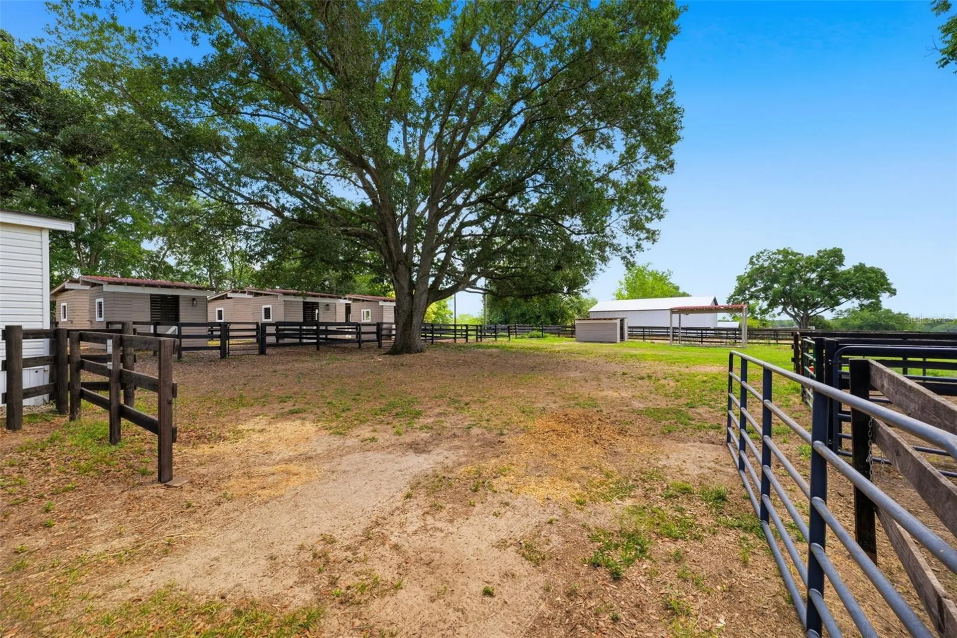 8606 Boyt Road Zephyrhills FL 33540