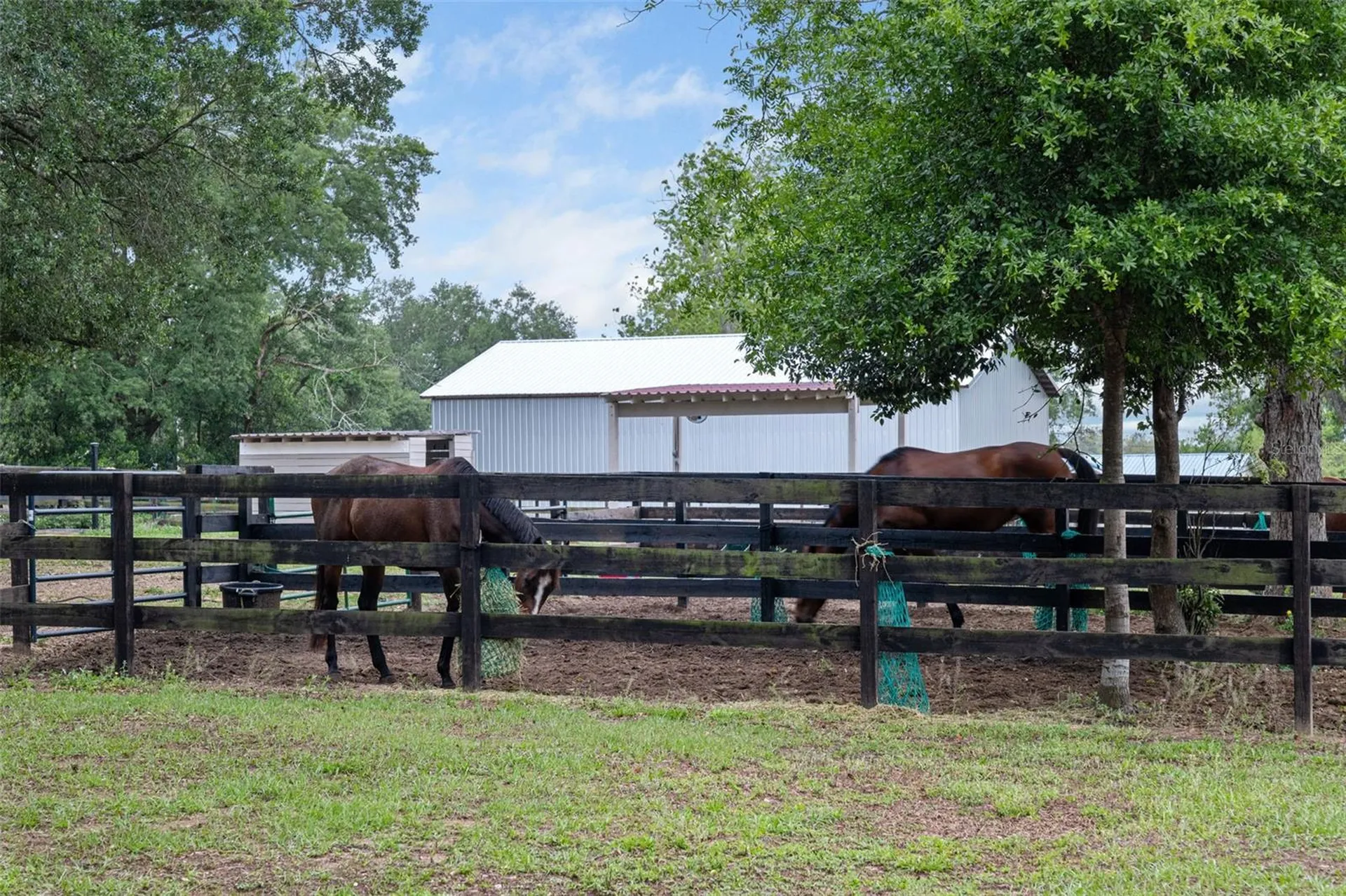 8606 Boyt Road Zephyrhills FL 33540