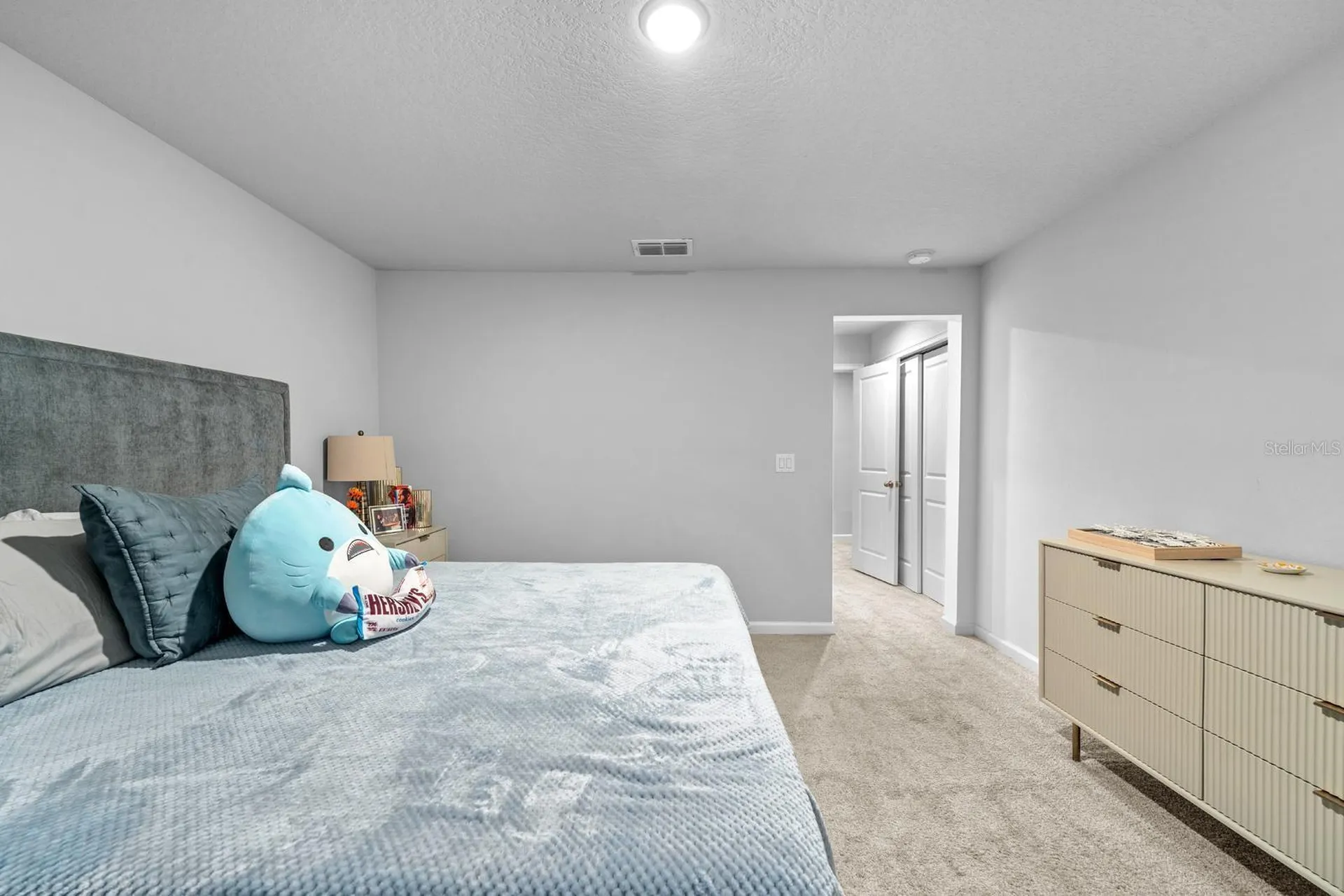 4236 Cloud Hopper Way Lutz FL 33559