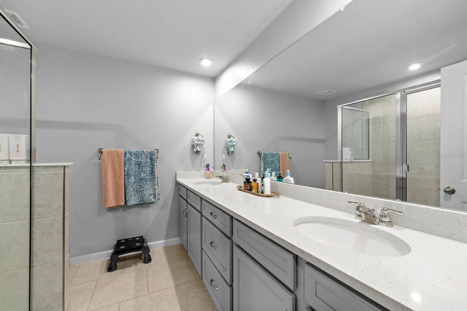 4236 Cloud Hopper Way Lutz FL 33559
