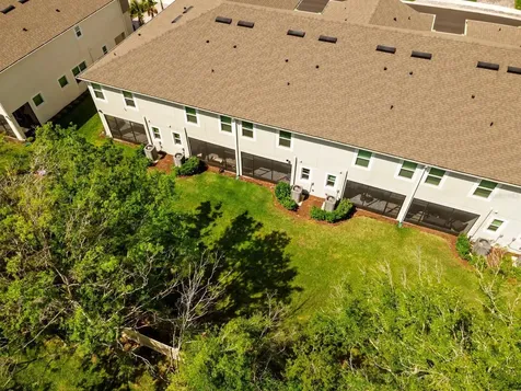 4236 Cloud Hopper Way Lutz FL 33559
