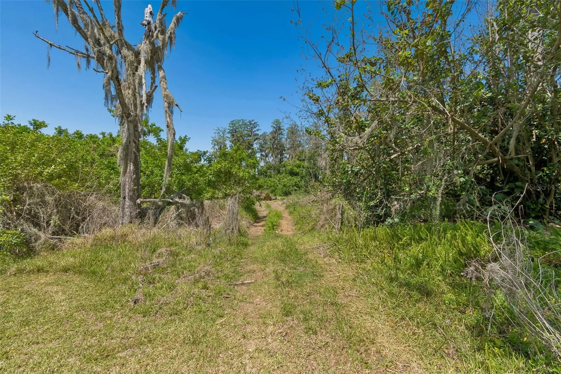 212 Crystal Lake Road Lutz FL 33548