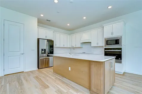 12105 Orchid Ash Street Riverview FL 33579
