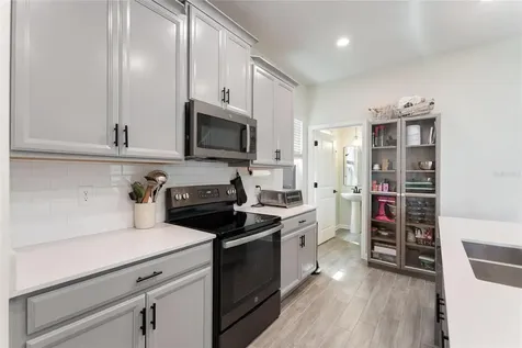 8995 Fluffy Lie Court Davenport FL 33896
