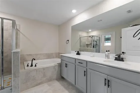 8995 Fluffy Lie Court Davenport FL 33896