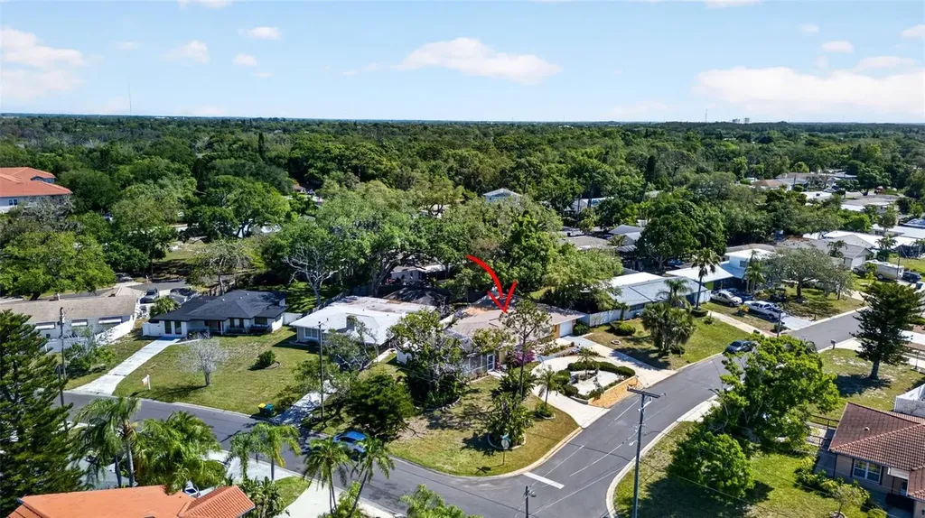 209 Westwinds Drive Palm Harbor FL 34683