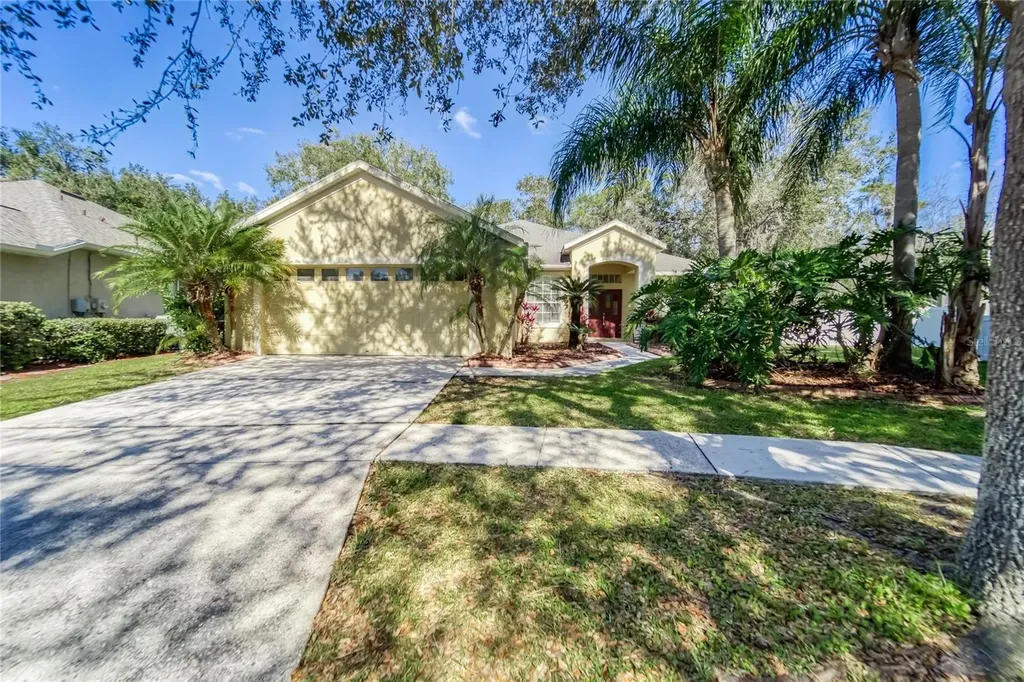 10124 Cannon Drive Riverview FL 33578