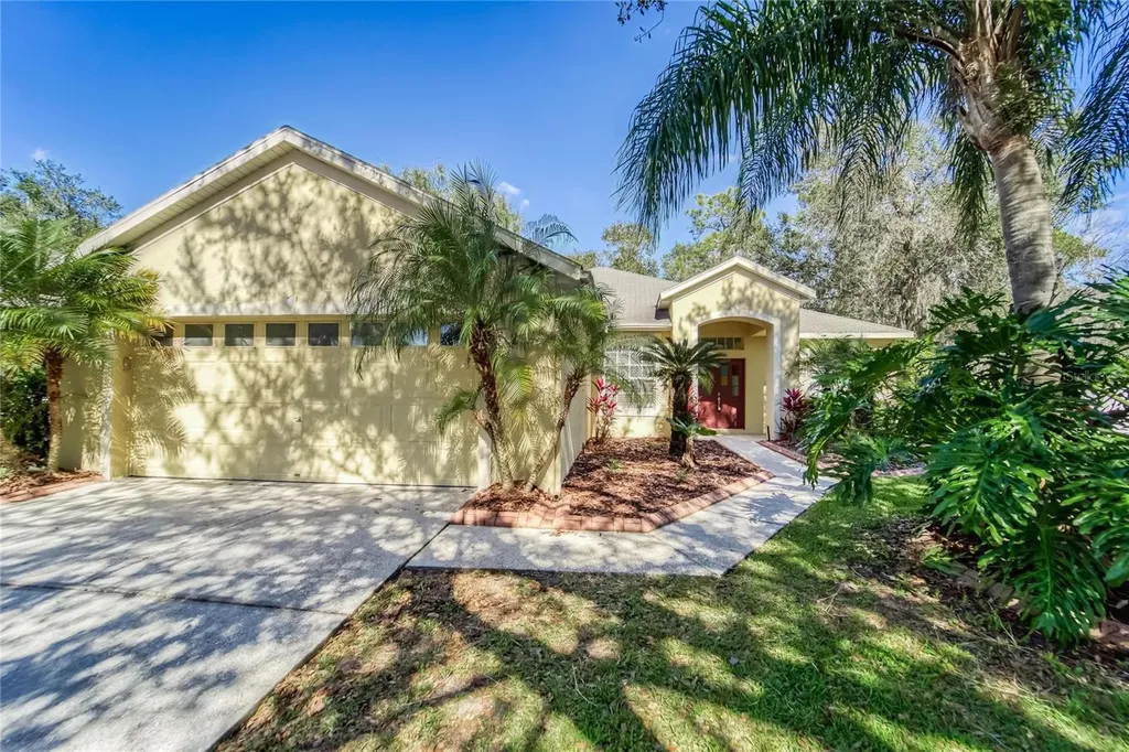 10124 Cannon Drive Riverview FL 33578
