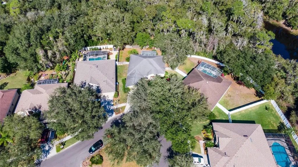 10124 Cannon Drive Riverview FL 33578