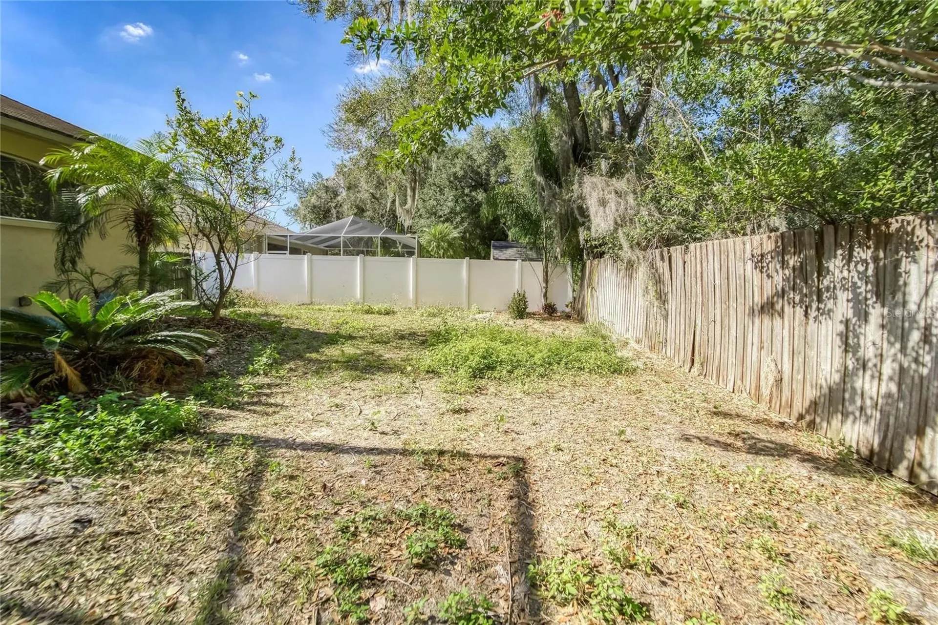 10124 Cannon Drive Riverview FL 33578