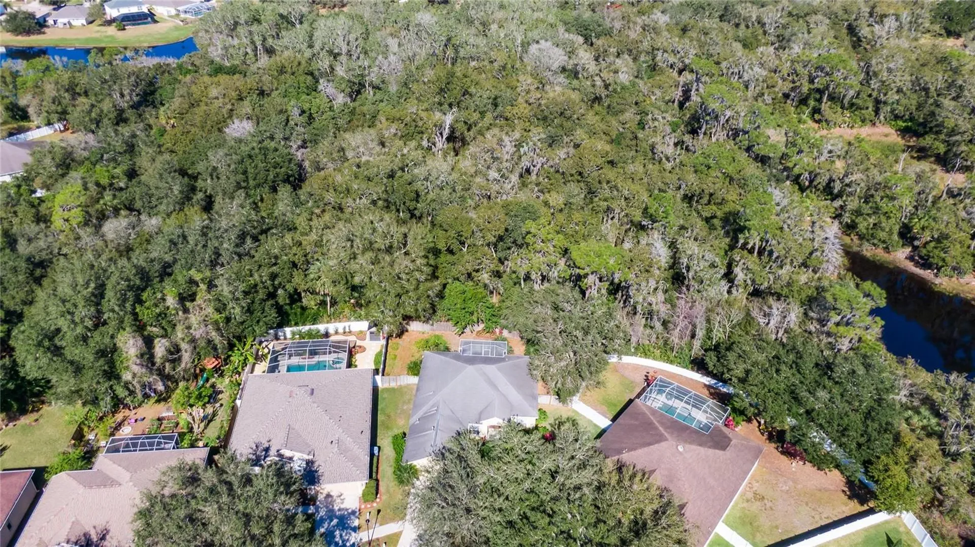10124 Cannon Drive Riverview FL 33578