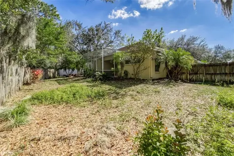 10124 Cannon Drive Riverview FL 33578