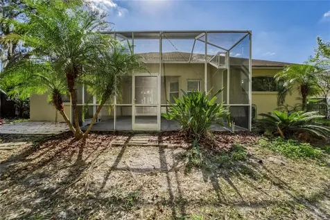 10124 Cannon Drive Riverview FL 33578