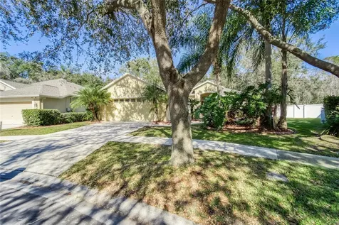 10124 Cannon Drive Riverview FL 33578