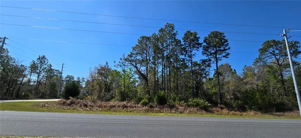 12398 Ruffed Grouse Road Weeki Wachee FL 34614