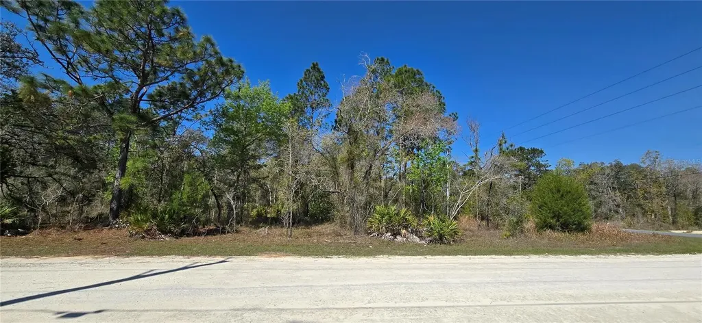 12398 Ruffed Grouse Road Weeki Wachee FL 34614