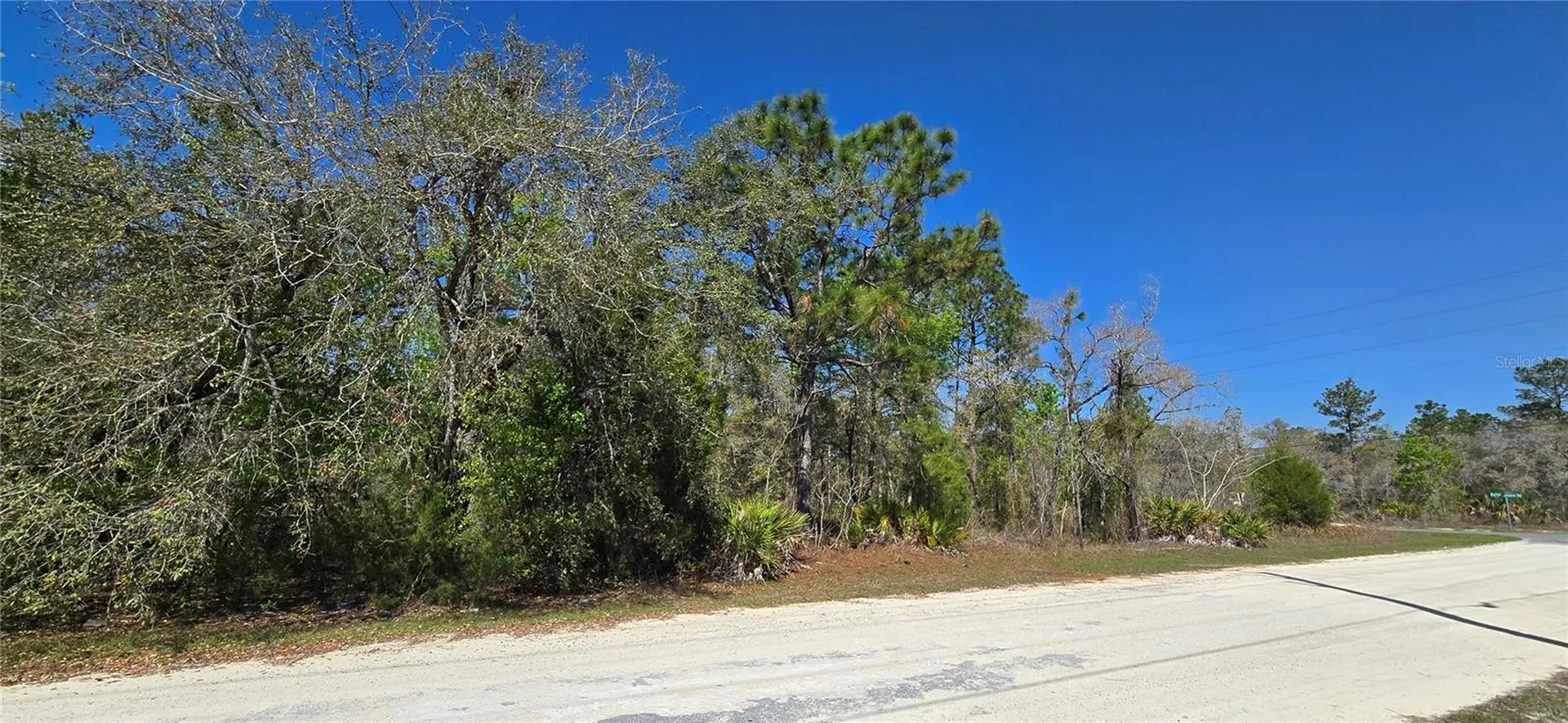 12398 Ruffed Grouse Road Weeki Wachee FL 34614