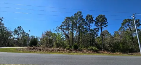 12398 Ruffed Grouse Road Weeki Wachee FL 34614
