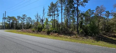 12398 Ruffed Grouse Road Weeki Wachee FL 34614