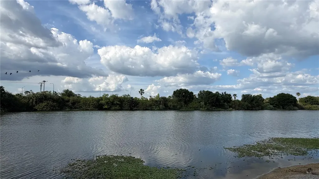 758 Burlwood Street Brandon FL 33511