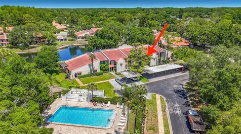 3505 Tarpon Woods Boulevard Palm Harbor FL 34685