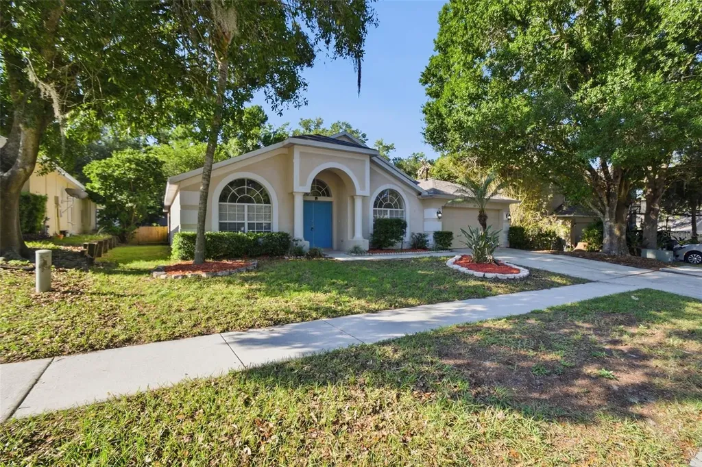 703 Grand Canyon Drive Valrico FL 33594