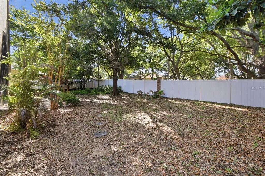 703 Grand Canyon Drive Valrico FL 33594