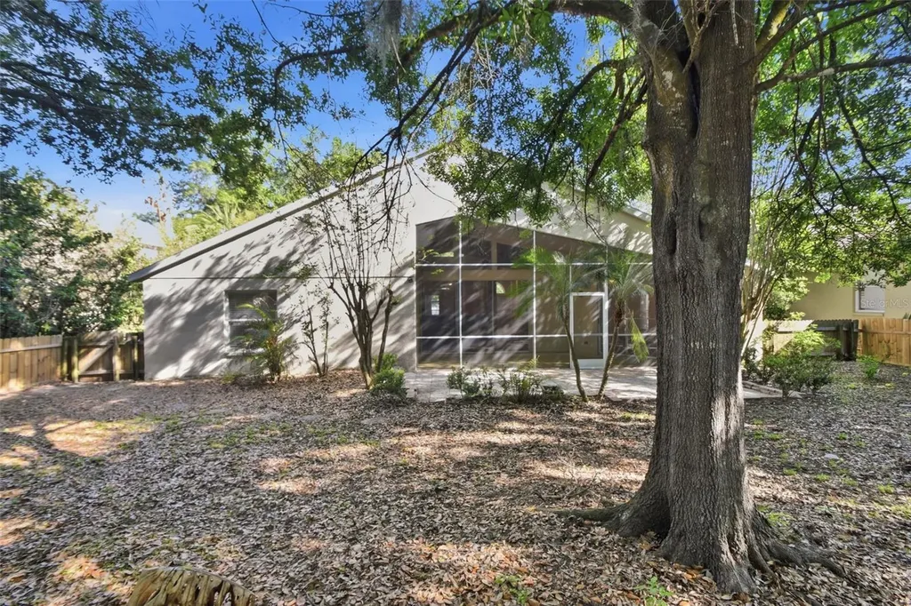 703 Grand Canyon Drive Valrico FL 33594