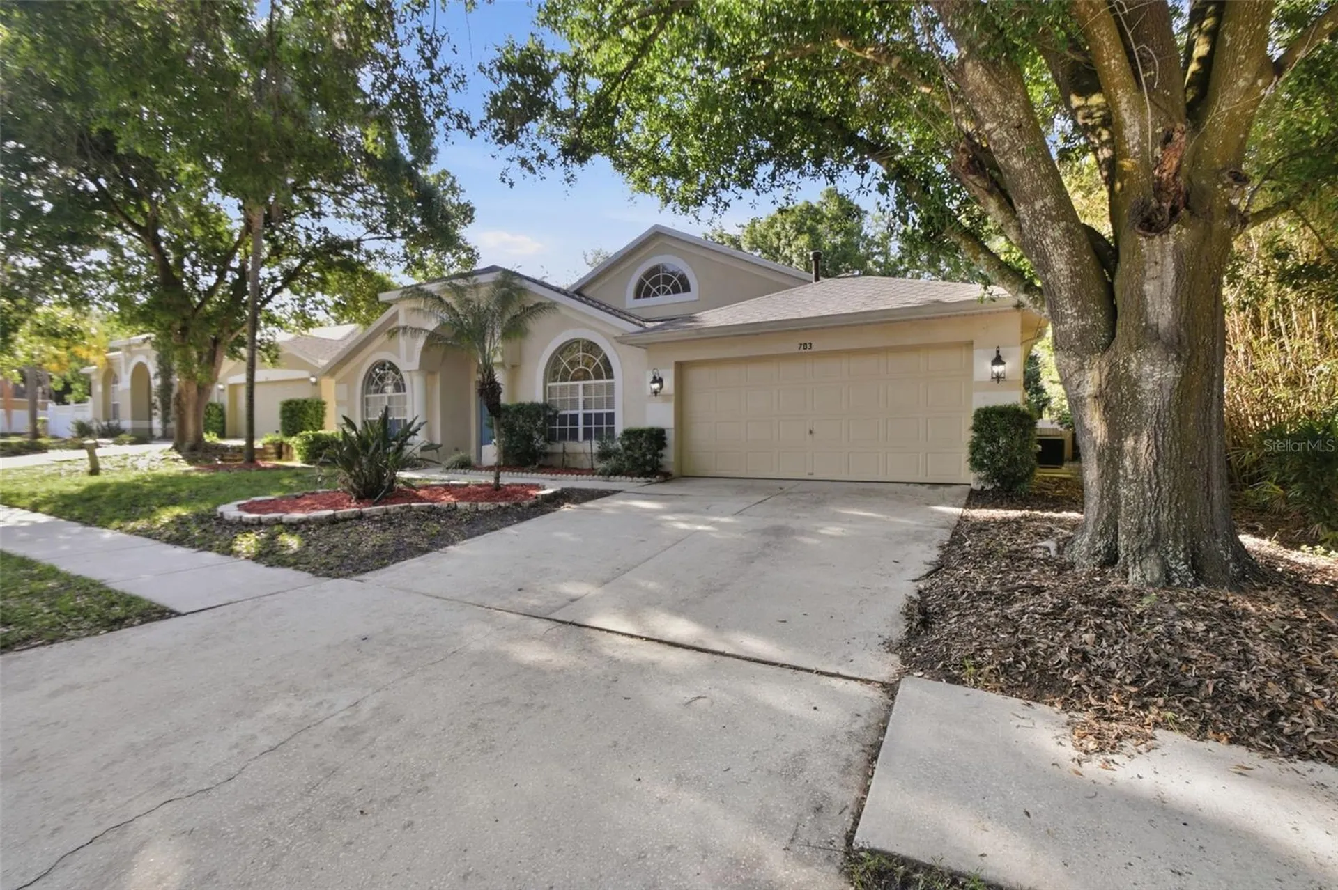 703 Grand Canyon Drive Valrico FL 33594