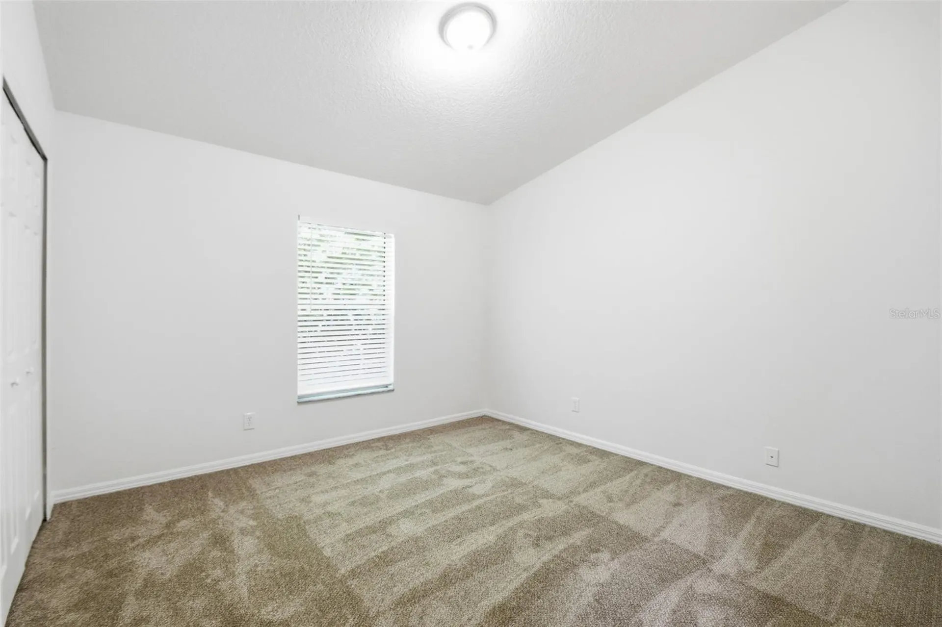 703 Grand Canyon Drive Valrico FL 33594