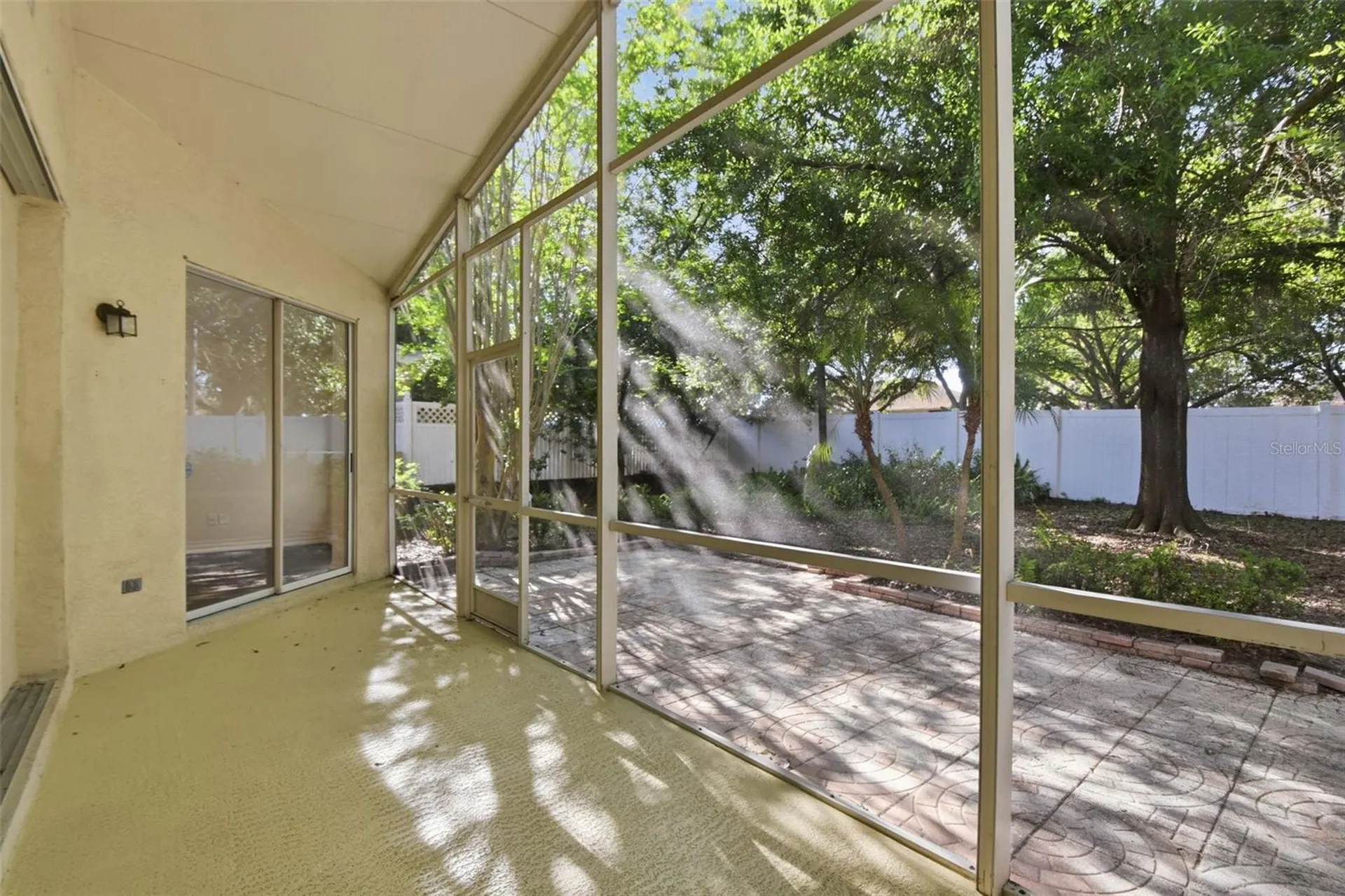 703 Grand Canyon Drive Valrico FL 33594