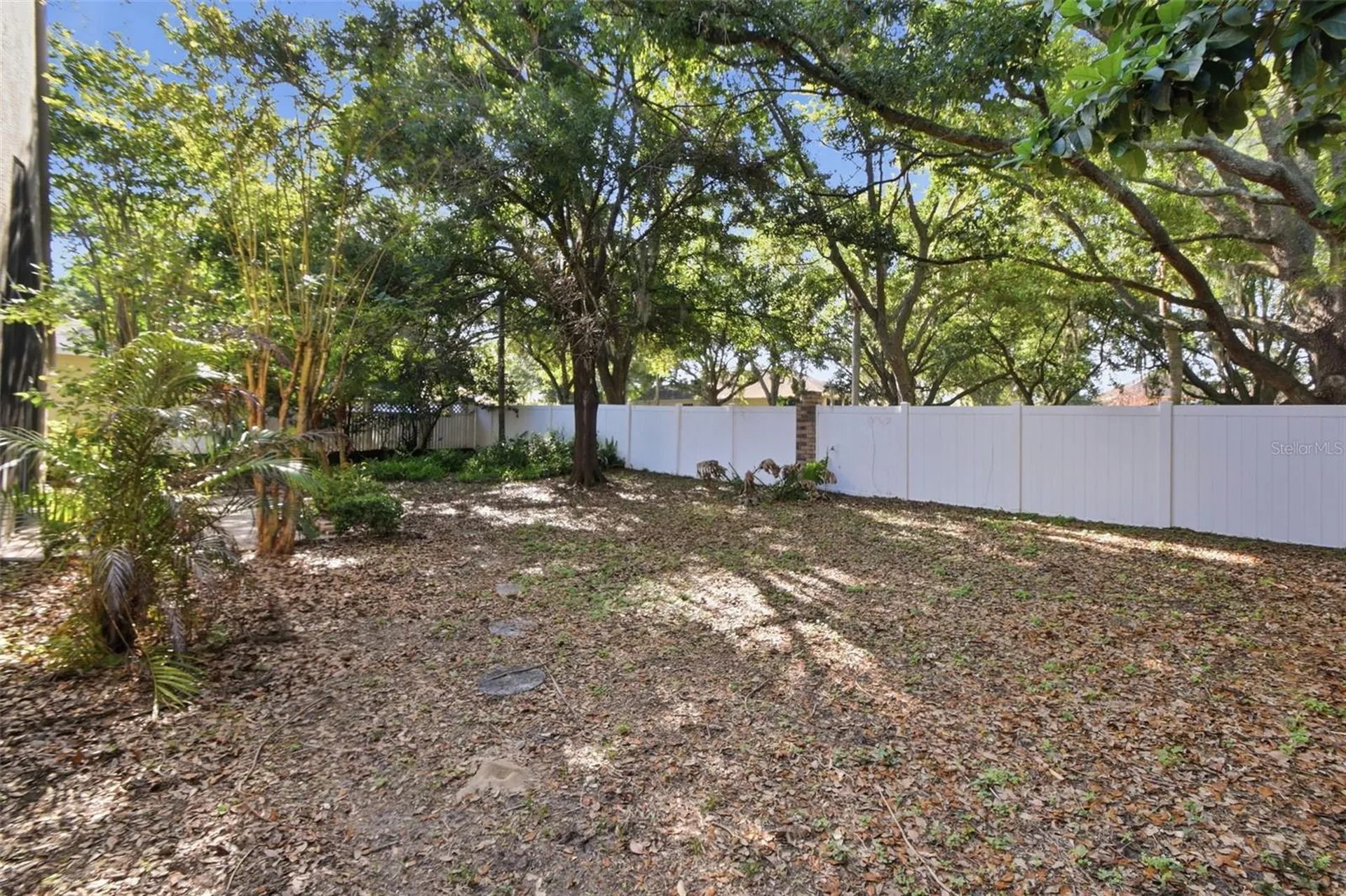 703 Grand Canyon Drive Valrico FL 33594