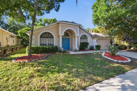 703 Grand Canyon Drive Valrico FL 33594