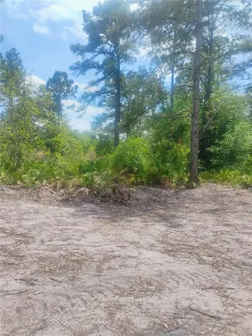 Park Forest Boulevard Mount Dora FL 32757