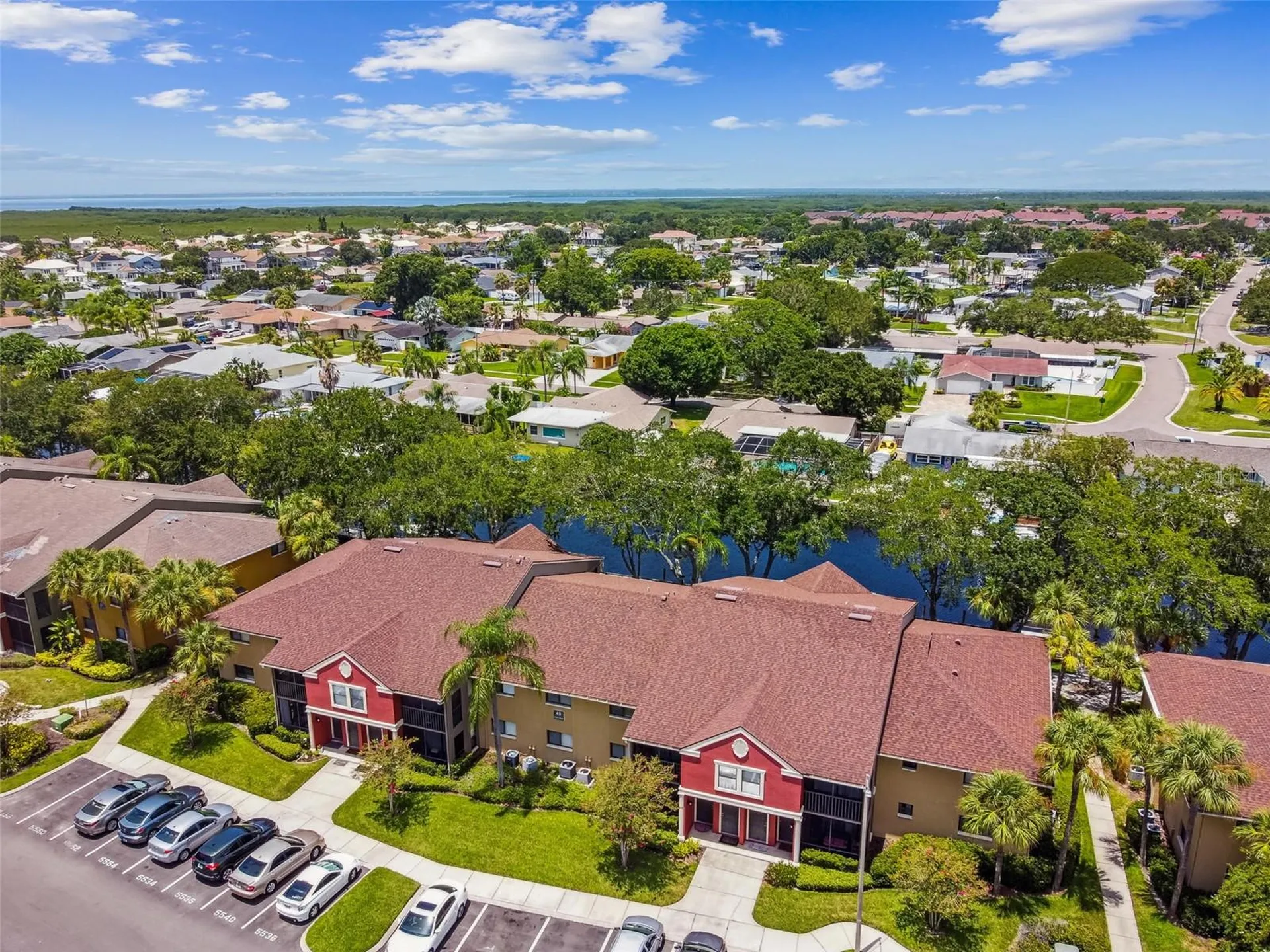 5558 Baywater Drive Tampa FL 33615