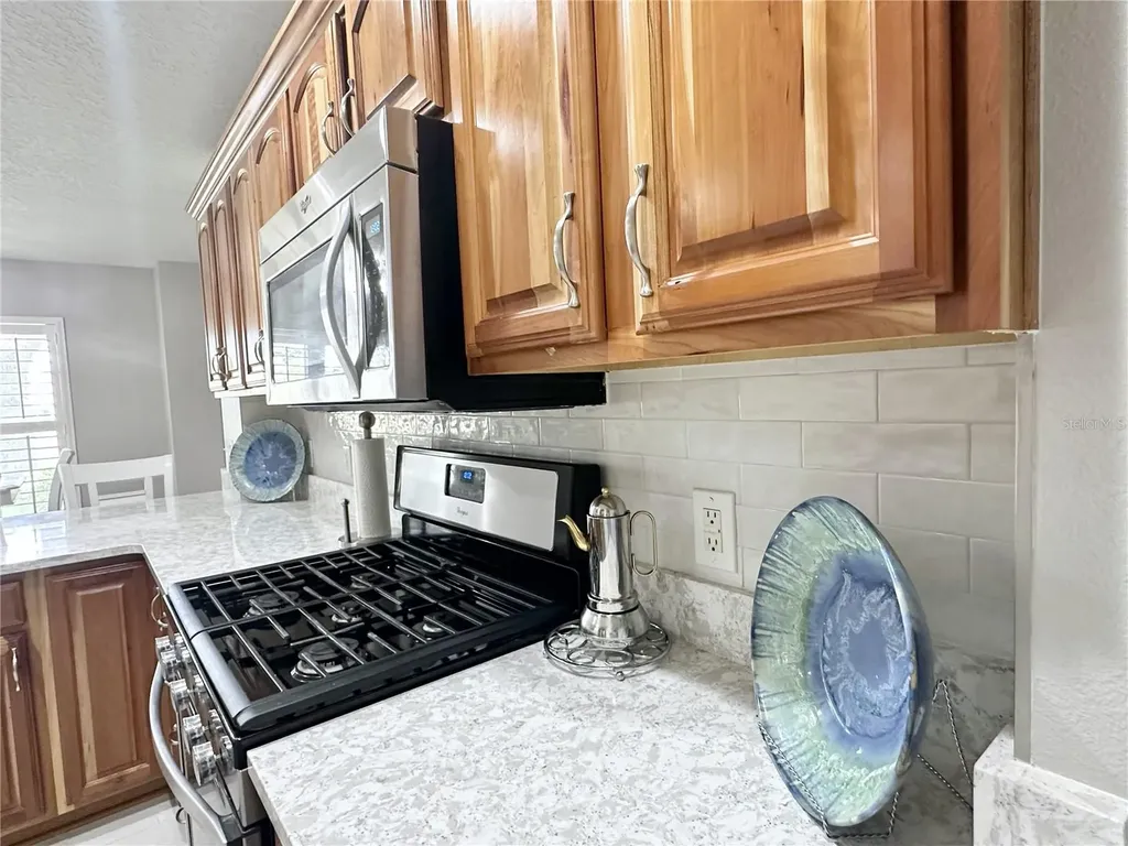4313 Arlington Ridge Boulevard Leesburg FL 34748