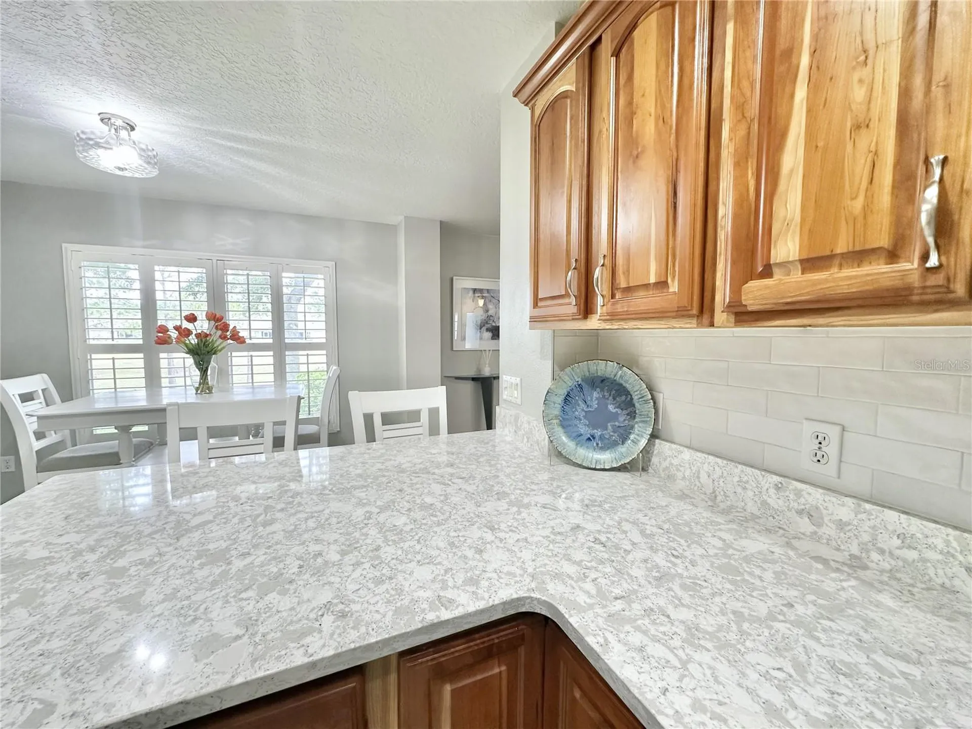 4313 Arlington Ridge Boulevard Leesburg FL 34748