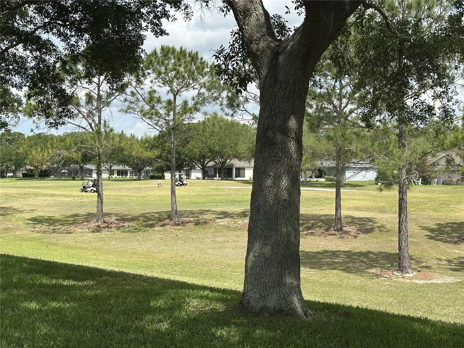 4313 Arlington Ridge Boulevard Leesburg FL 34748