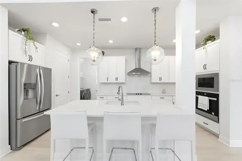 28905 Orange Berry Drive Wesley Chapel FL 33543