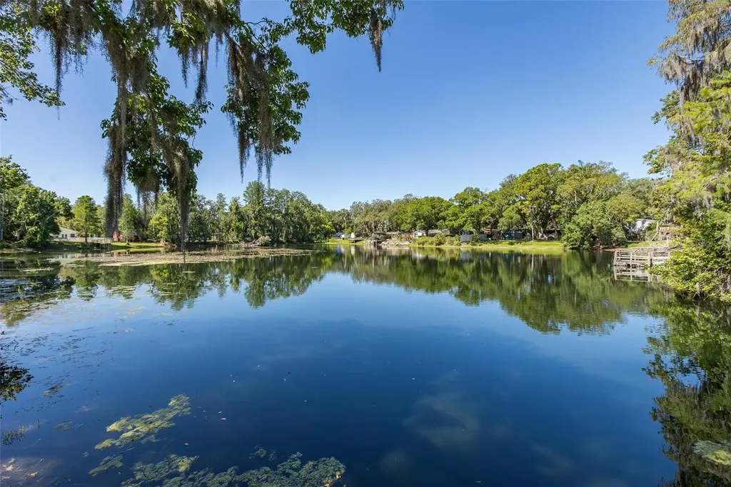 5621 Antelope Lane New Port Richey FL 34653