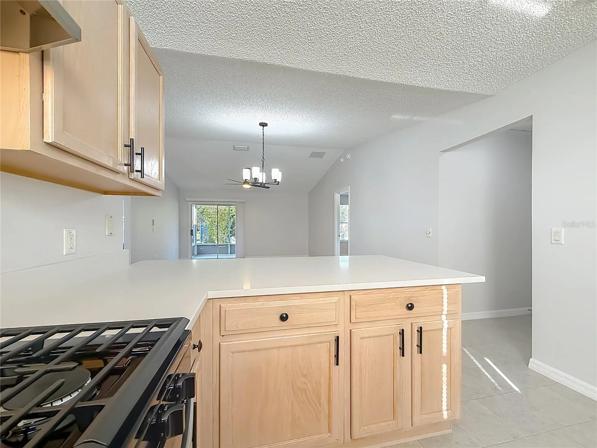 3248 Richmond Drive The Villages FL 32162