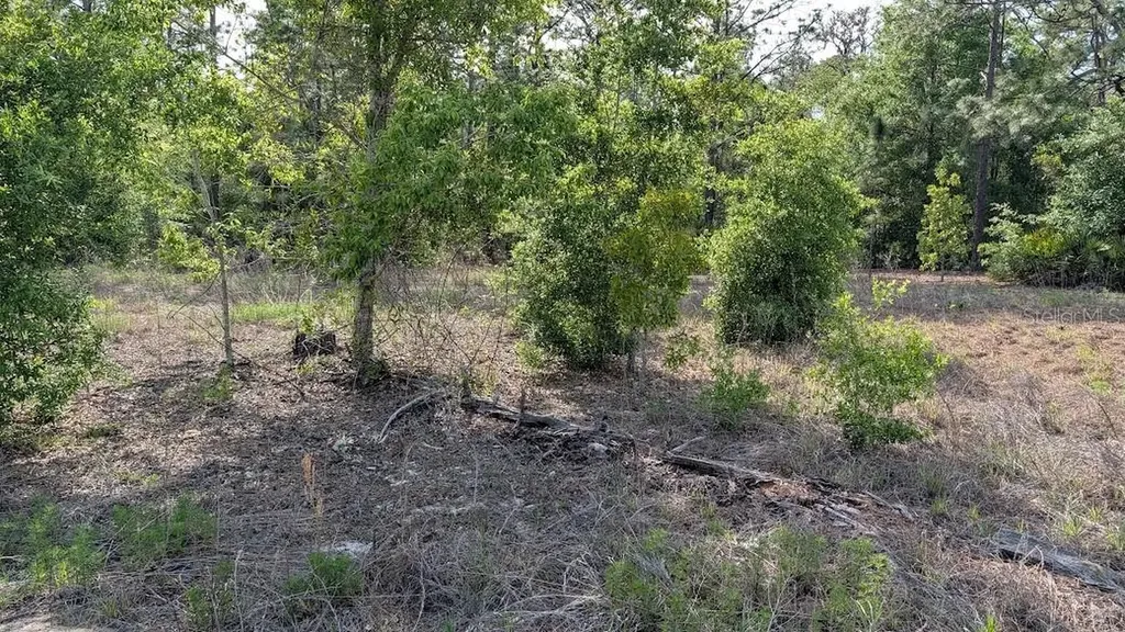 Lot 88 SW 152 Nd Court Ocala FL 34481