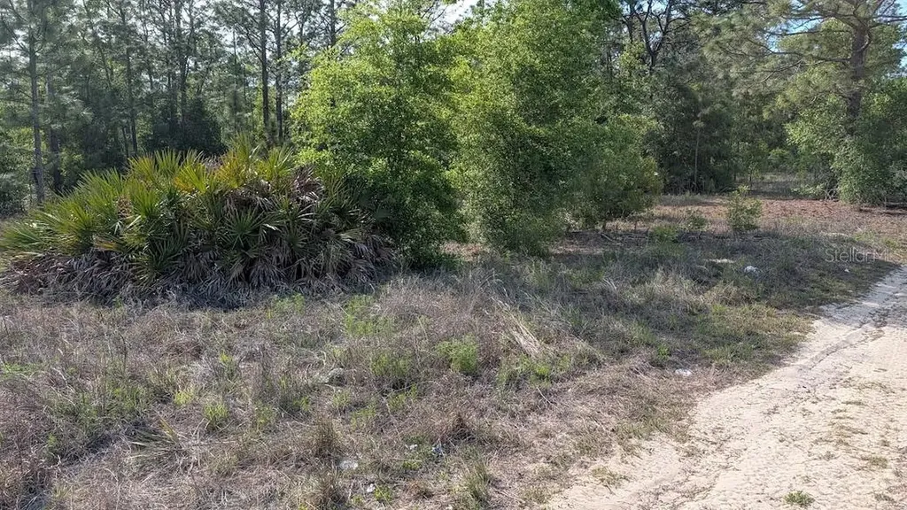 Lot 88 SW 152 Nd Court Ocala FL 34481