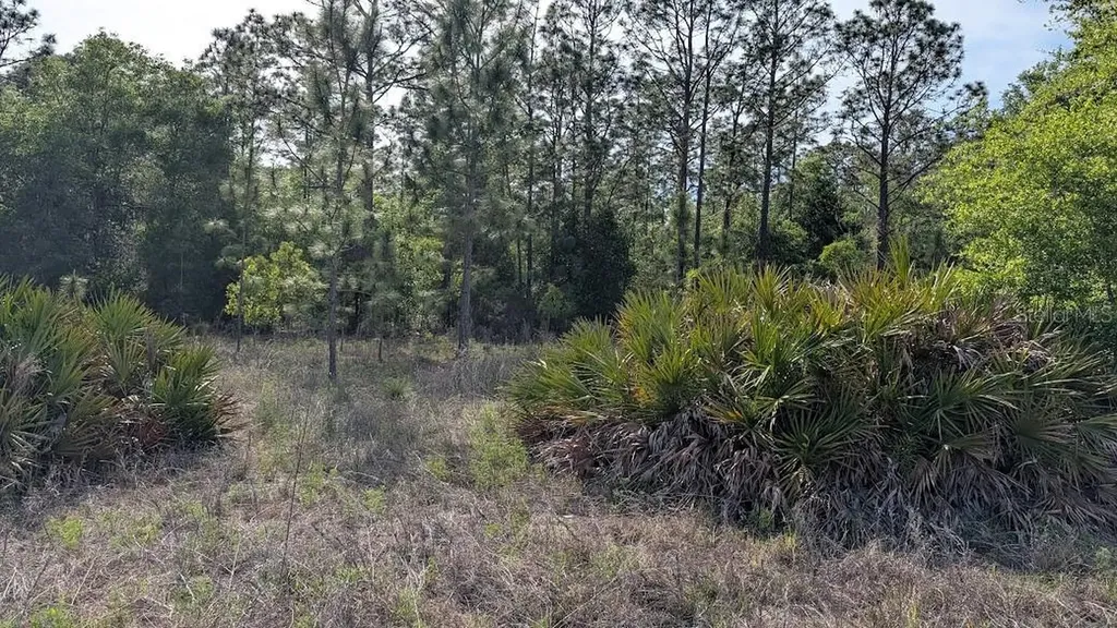 Lot 88 SW 152 Nd Court Ocala FL 34481