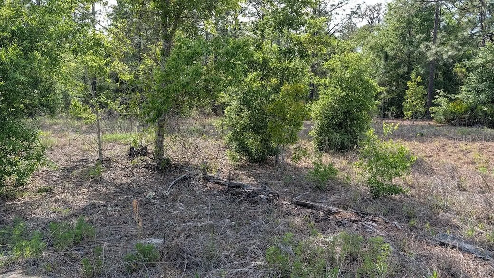Lot 88 SW 152 Nd Court Ocala FL 34481