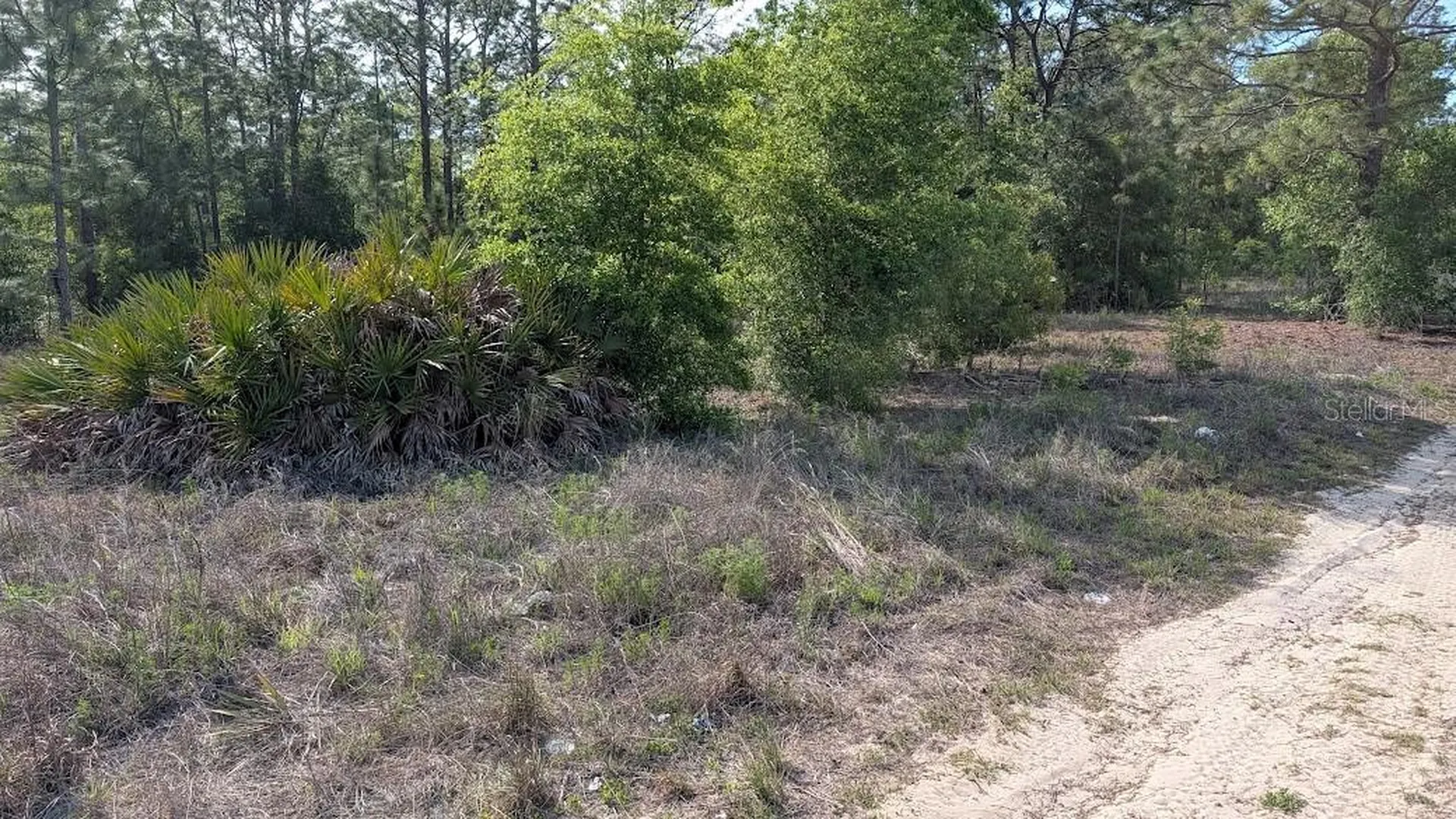 Lot 88 SW 152 Nd Court Ocala FL 34481