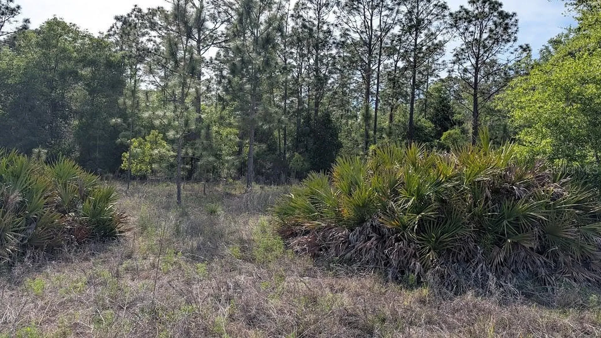 Lot 88 SW 152 Nd Court Ocala FL 34481
