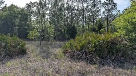 Lot 88 SW 152 Nd Court Ocala FL 34481
