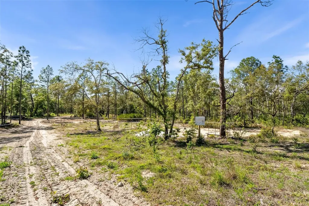 25723 Bareva Road Weeki Wachee FL 34614
