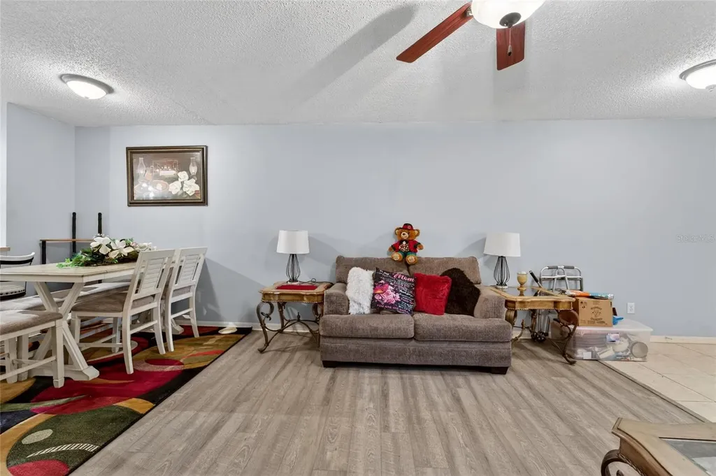 6557 Osprey Lake Circle Riverview FL 33578